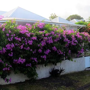  Hébergement de vacances Soleil Guadeloupe